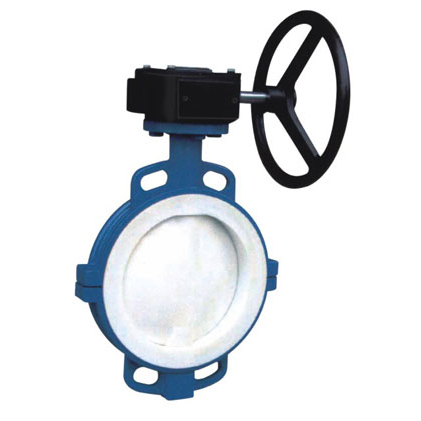 D71F manual worm gear fluorine lined butterfly valve