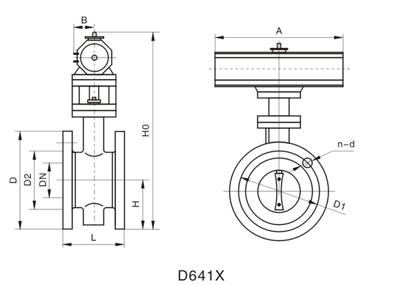 D641X.jpg