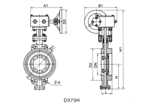 D373H.jpg