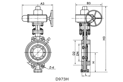 D973H.jpg